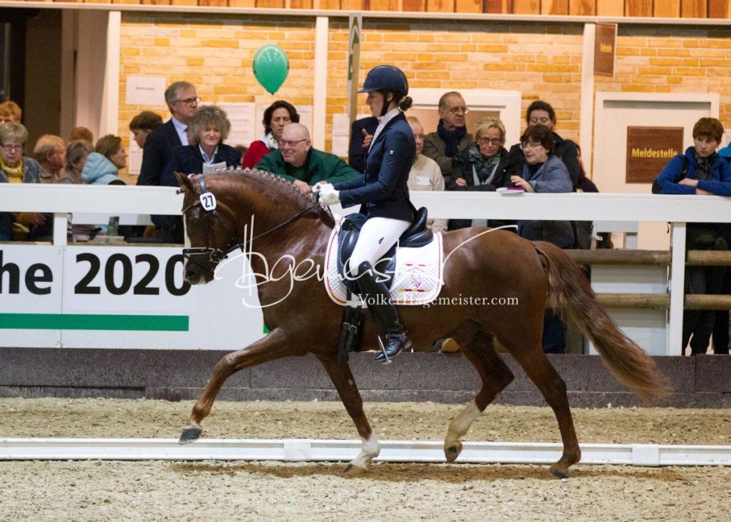 Bundeschampionatsqualifikation Heide 8
