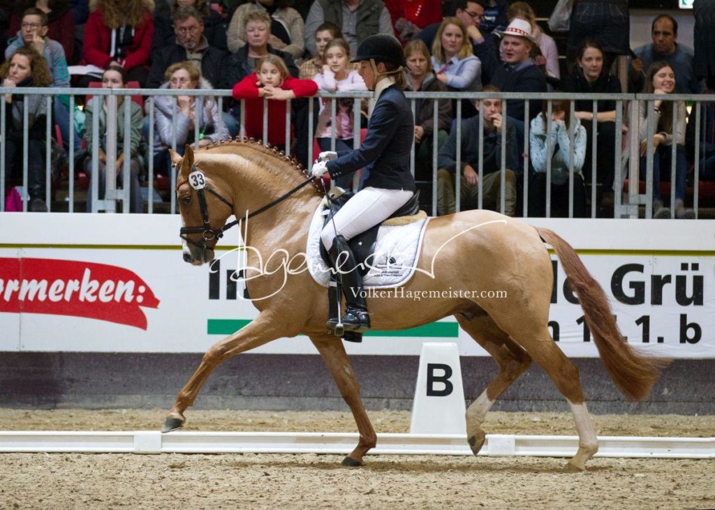Bundeschampionatsqualifikation Heide 20
