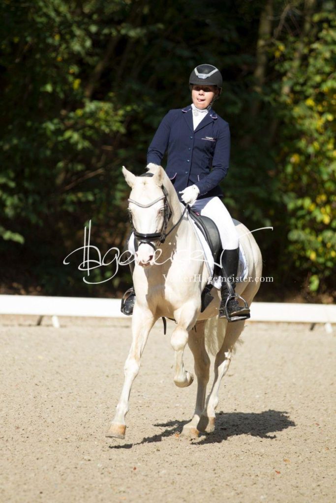 Landesponyturnier Bad Segeberg 5