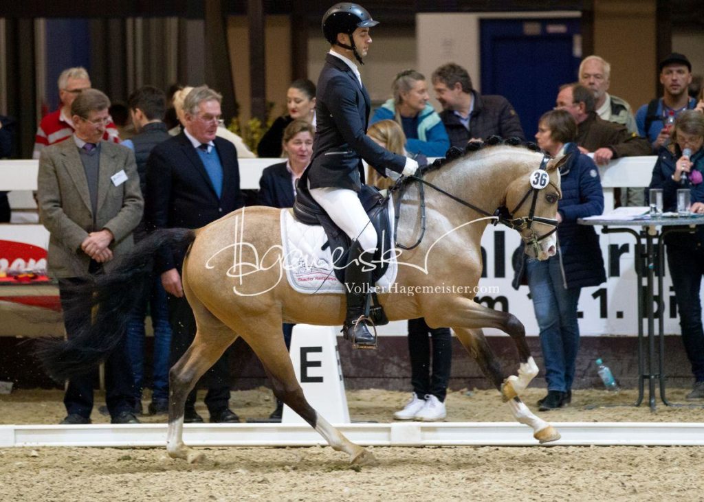 Bundeschampionatsqualifikation Heide 22