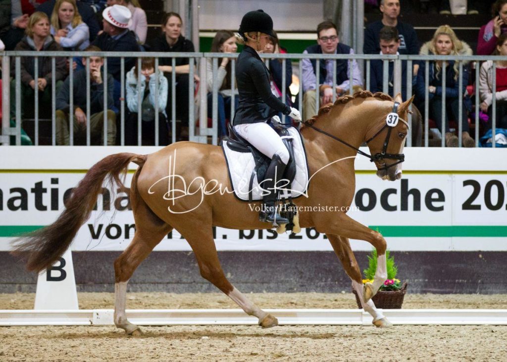 Bundeschampionatsqualifikation Heide 26