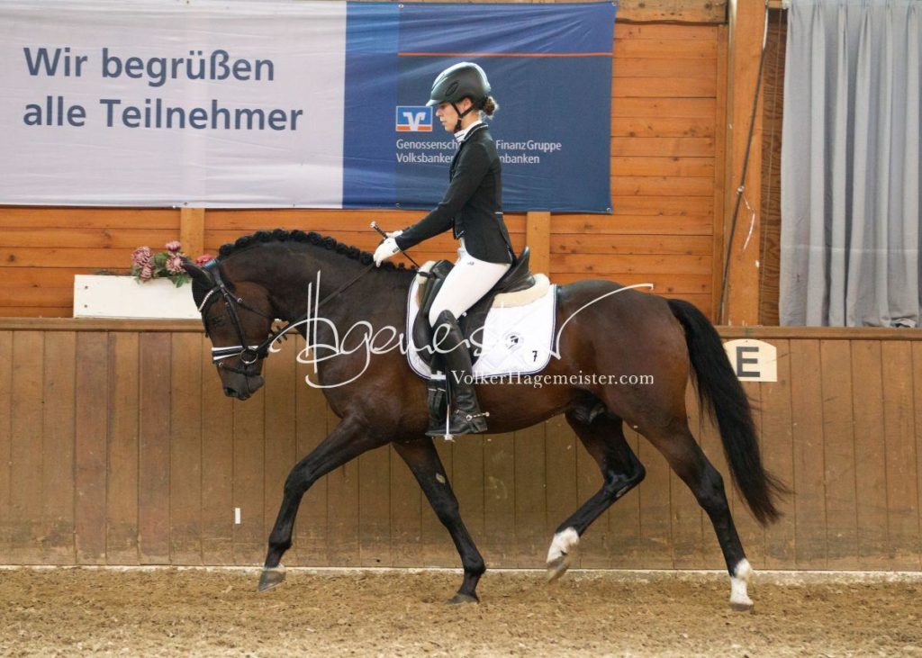 ZfdP Bundesschau - Sonntag 14
