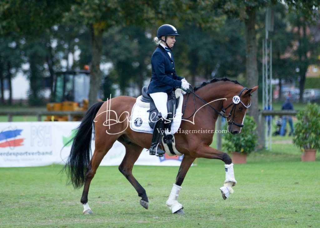 Landesponyturnier Bad Segeberg 17