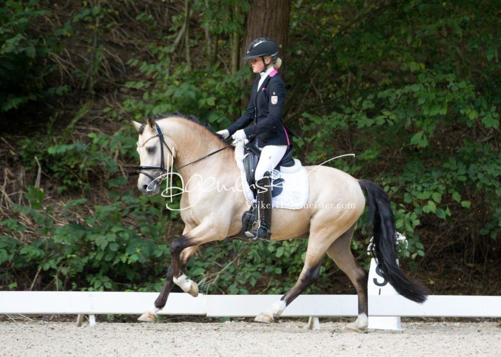 Landesponyturnier Bad Segeberg 25