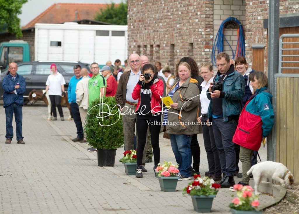 Veranstaltungen 21
