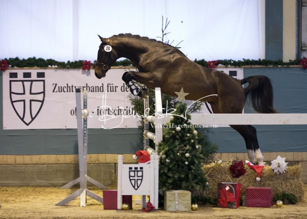 ZfdP Körung Kreuth Freitag 10
