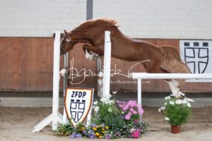 Sommerkörung ZfdP Grevenbroich 6