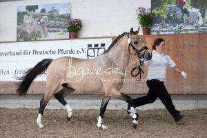 Sommerkörung ZfdP Grevenbroich 7
