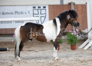 Sommerkörung ZfdP Grevenbroich 11