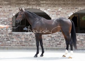 Sommerkörung ZfdP Grevenbroich 15