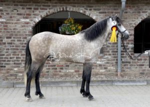 Sommerkörung ZfdP Grevenbroich 22