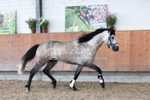 Sommerkörung ZfdP Grevenbroich 19