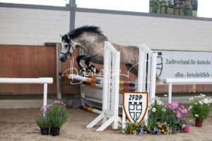 Sommerkörung ZfdP Grevenbroich 20