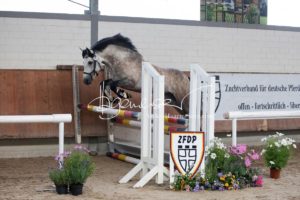 Sommerkörung ZfdP Grevenbroich 21