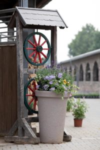 Sommerkörung ZfdP Grevenbroich 25