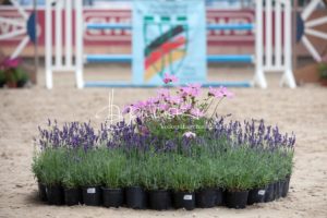 Sommerkörung ZfdP Grevenbroich 28