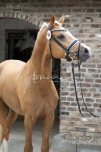 Sommerkörung ZfdP Grevenbroich 17