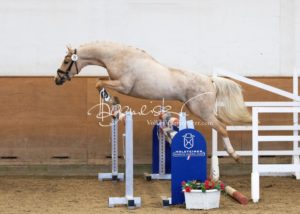 PSB Körung Samstag 21