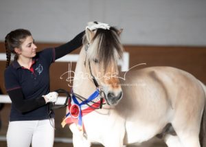 PSB Siegerhengste 25