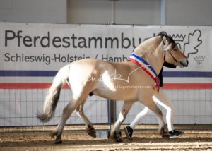 PSB Siegerhengste 27