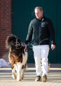 PSB Körung Sonntag 12