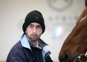 PSB Körung Sonntag 18