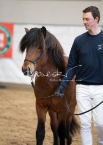 PSB Körung Sonntag 23