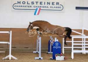 PSB Körung Samstag 9