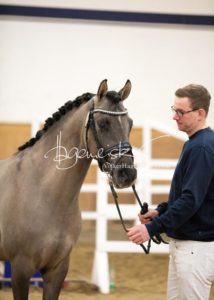 PSB Körung Samstag 22