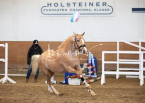 PSB Körung Samstag 27