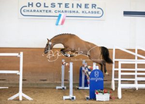 PSB Körung Samstag 2