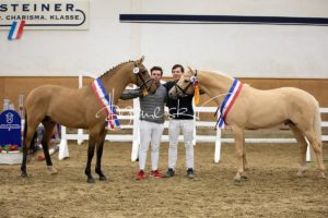 PSB Siegerhengste 22