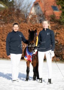 PSB Siegerhengste 30