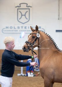 PSB Körung Samstag 25