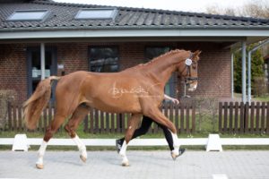 ZfdP Frühjahrskörung 1