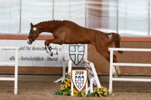 ZfdP Frühjahrskörung 6