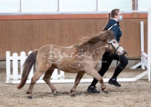 ZfdP Frühjahrskörung 9