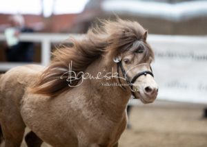 ZfdP Frühjahrskörung 13