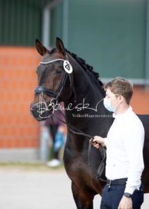 ZfdP Frühjahrskörung 15