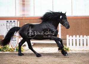 ZfdP Frühjahrskörung 21