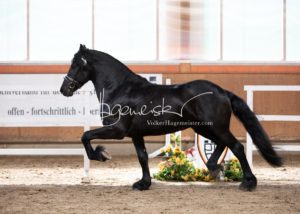 ZfdP Frühjahrskörung 23