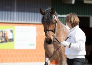 ZfdP Frühjahrskörung 25