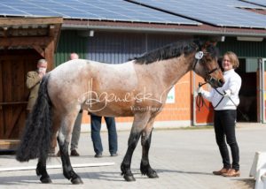 ZfdP Frühjahrskörung 26