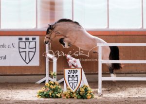 ZfdP Frühjahrskörung 1