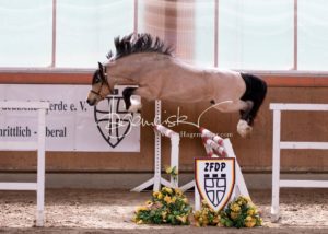 ZfdP Frühjahrskörung 2
