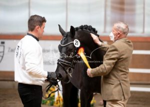 ZfdP Frühjahrskörung 9