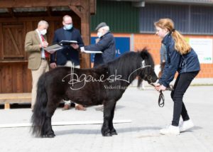 ZfdP Frühjahrskörung 12