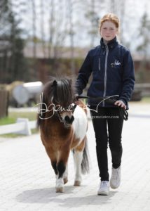 ZfdP Frühjahrskörung 27