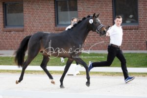 ZfdP Frühjahrskörung 1