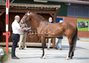 ZfdP Frühjahrskörung 17